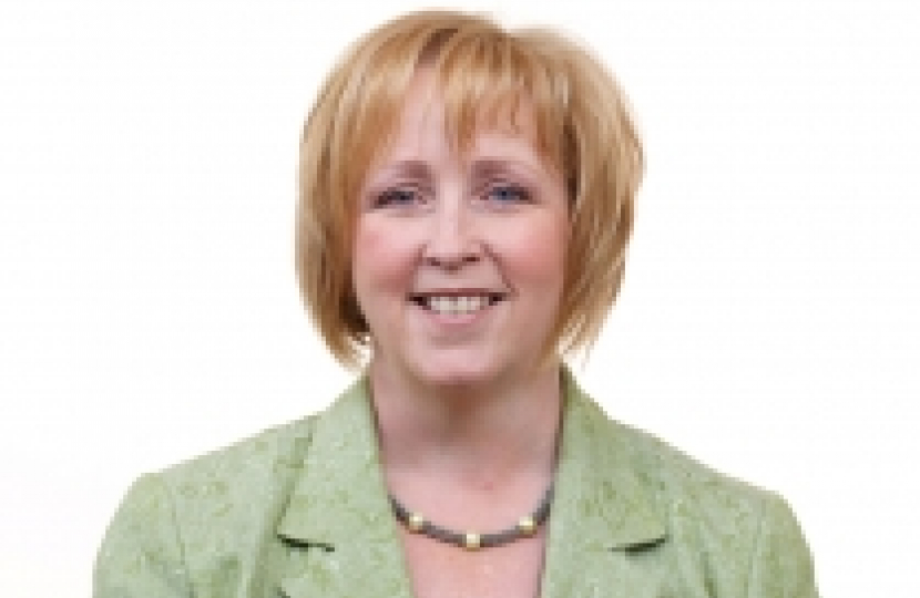 Suzy Davies AM